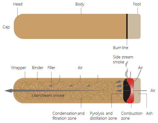 绘图显示雪茄结构与各过程。。
