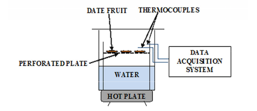 示意图描绘了研究椰枣热加工中水化的的装置装置