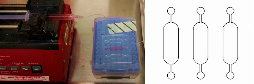 细胞培养实验在芯片上的照片和细胞培养芯片实验的CAD表示。