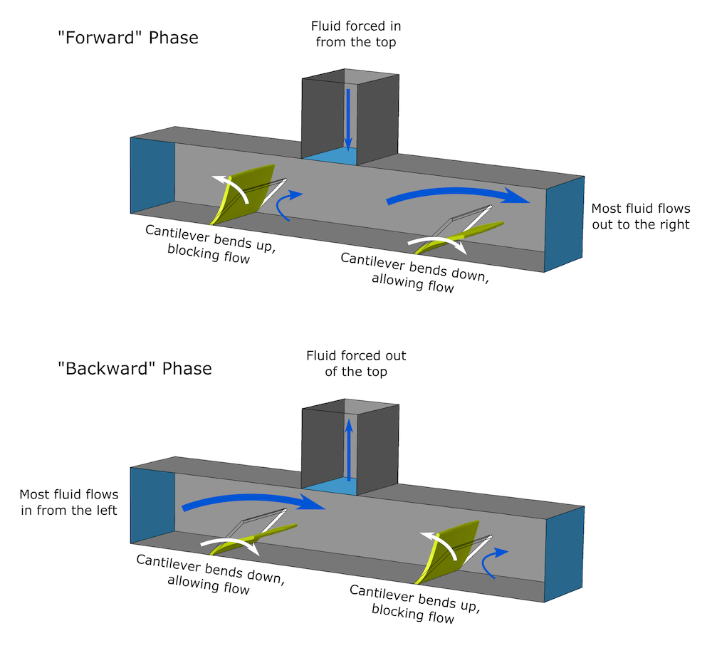 向前和后阶段的微泵机构的两个视图的草图。