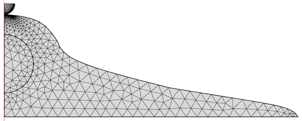 2D轴对称细胞模型的网格。