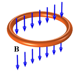 示意图示意图时变磁场的铜线圈铜线圈