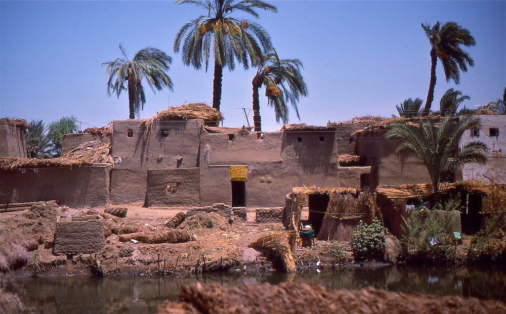 埃及的泥砖房屋的照片。