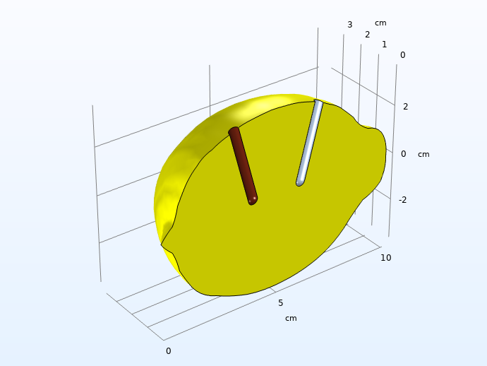应用对称条件以节省计算资源后，柠檬电池的建模域。