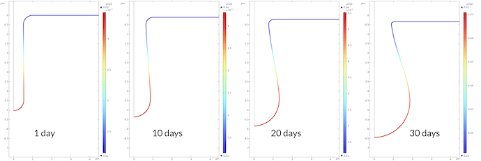 四个图显示1、10、20和30天后金属表面的腐蚀速率。