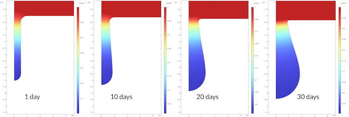 在1、10、20和30天后，在点腐蚀过程中显示了四个并排的图显示了钠离子浓度。