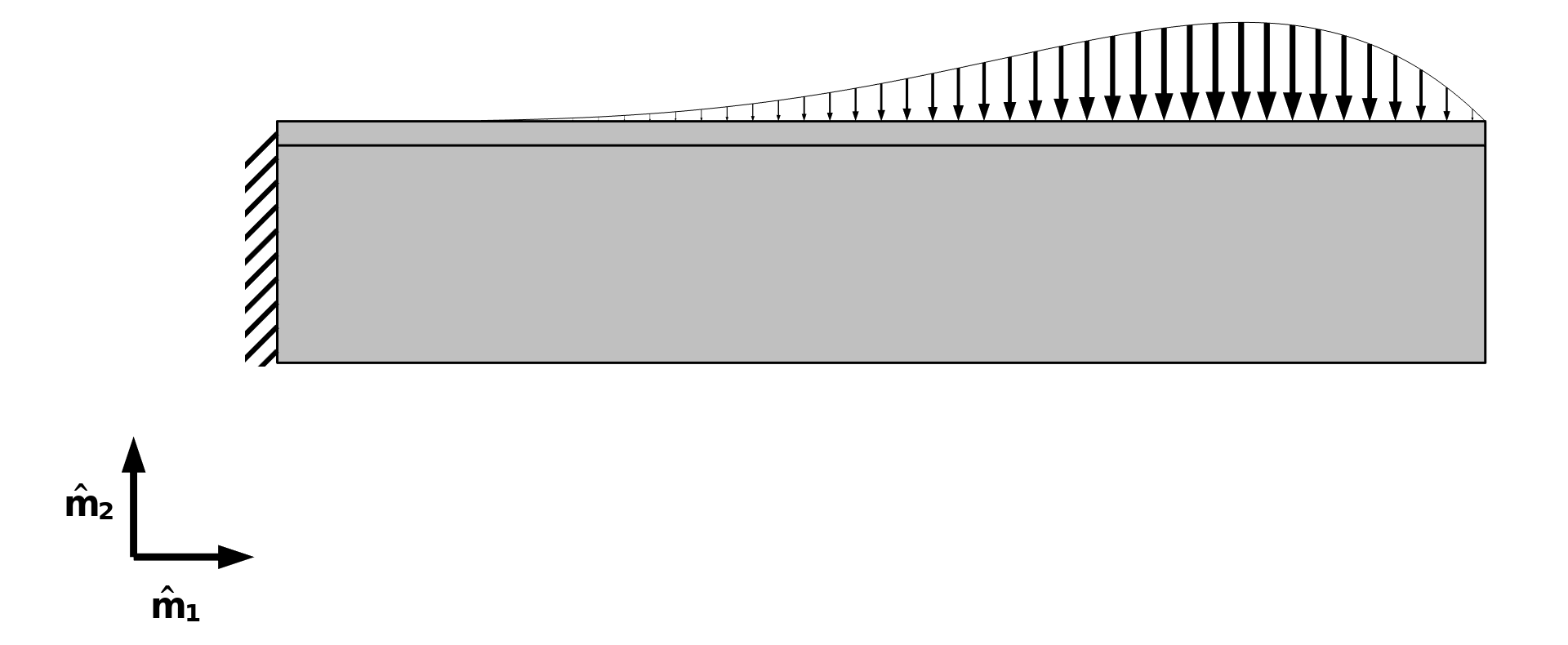 一个模型，其中左端是，顶部，顶部边界分布载荷。载荷